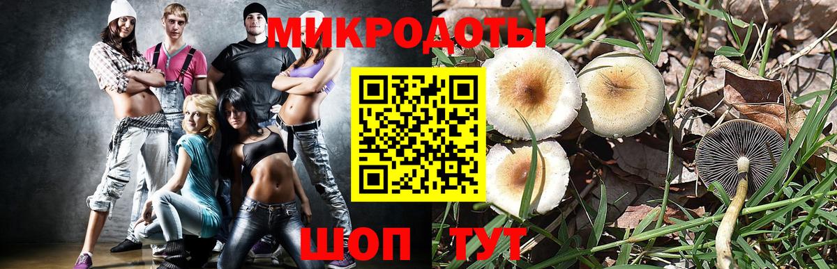 Клин  Галлюциногенные грибы GOLDEN TEACHER  Вход с VPN 