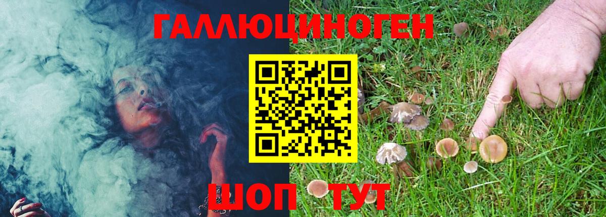 Галлюциногенные грибы GOLDEN TEACHER  Клин 